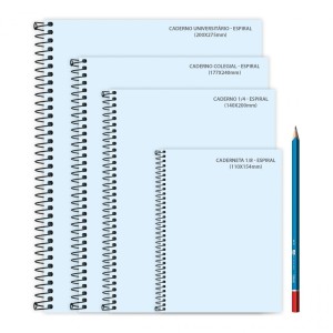 CADERNO UNIVERSITARIO 10 MATERIAS 160FLS MINNIE TILIBRA