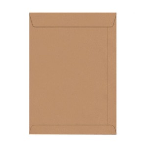 ENV.SACO 110X170 KRAFT PCT C/10 PCS