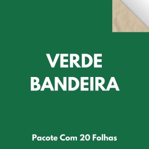 Papel Cartao 48X66cm Pacote Com 20 Folhas