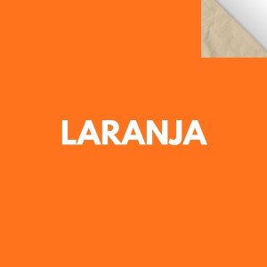 Papel Cartao Folha 48X66cm - Unidade