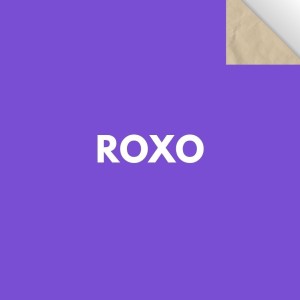 Papel Cartao Folha 48X66cm - Unidade